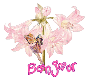 Gif animé bonjour